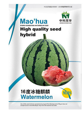 中科茂华16度冰糖麒麟早佳