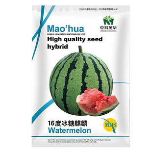 中科茂华16度冰糖麒麟早佳8424懒汉神龙瓜种子甜王西农八西瓜组合