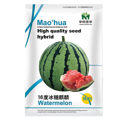 中科茂华16度冰糖麒麟早佳