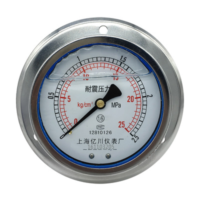轴向带边耐震压力表YN100ZT面板