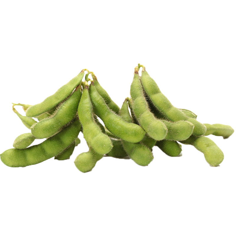 新鲜现摘毛豆5斤农家角当季蔬菜