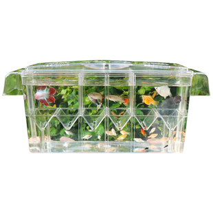 亚克力鱼缸隔离盒缸外繁殖盒斗鱼盒孔雀鱼产房热带鱼苗独立孵化盒