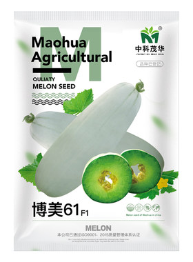 中科甜瓜种子薄皮东方蜜香瓜超甜