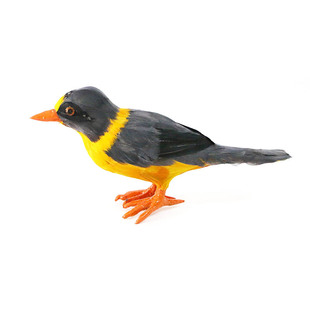 仿真鸟摆件真羽毛黄鹂翡翠喜鹊小鸟摆件园林装饰家居饰品摄影道具