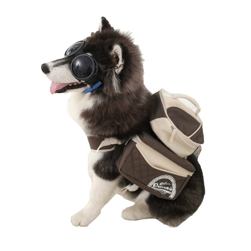 宠物daisuki大中型犬雪纳瑞边牧