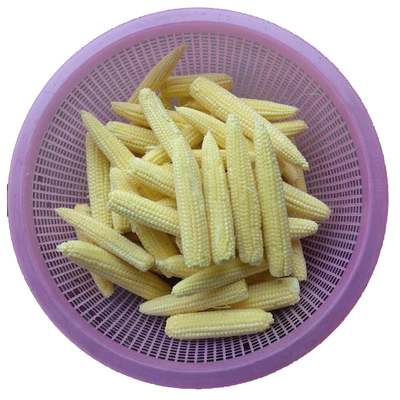 广西新鲜水果现摘脆嫩甜玉米笋