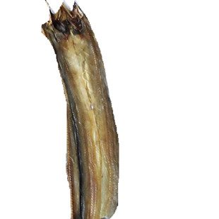 1份免邮舟山海鲜特产干货海鳗鱼干鳗鱼干鳗块 淡中小鳗鱼鲞