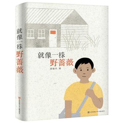 就像一株野蔷薇 正版胡继风著经典儿童文学长篇小说故事书小学生五年级六年级课外阅读书籍11-12岁江苏凤凰少年儿童出版社kq