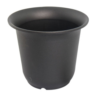 矮胖万象盆景天仙人掌多肉植物黑色塑料磨砂盆5种规格爱仙满园