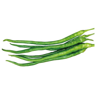 线椒种籽蔬菜种孑春季菜种子菜籽种辣椒种籽四季长龙56厘米长