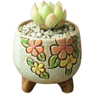 简约个性多肉植物花盆陶瓷透气手绘mini韩式粗陶拇指盆小号特价