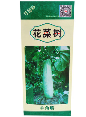 羊角蜜甜瓜农家易种植物春季