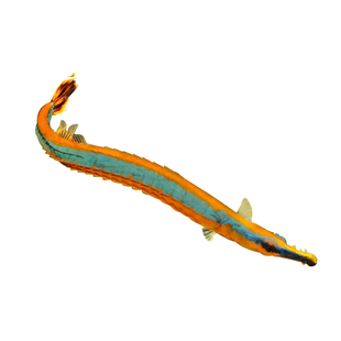 30小丑缸海缸套餐静风听海小方缸树脂造景缸背滤缸桌面新手微缸