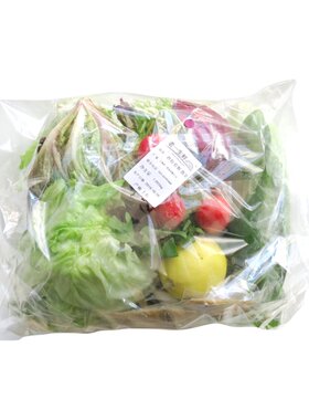 新鲜混合沙拉生菜轻食生菜组合代餐组合球生菜套餐3斤包邮健身餐