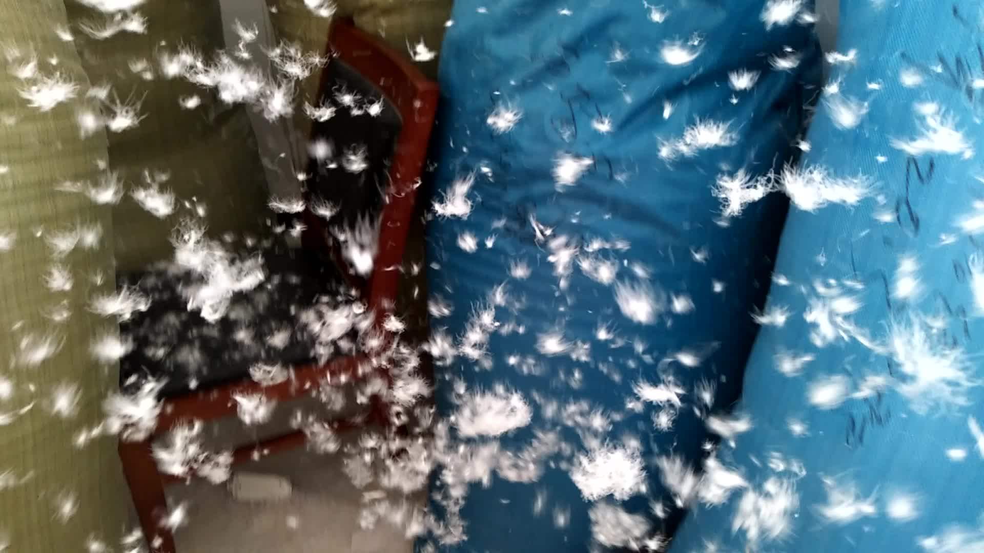 Hot Sale 90 Duck Down Feather Buy Duck Down,90 Duck Down Feather