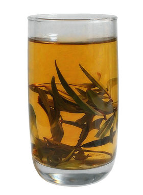 青海野生沙棘叶茶晾晒干的叶子茶精选450g高山黑刺沙棘茶散装称重