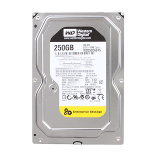 全新3.5寸西部数据RE3黑盘7200转SATA串口250G台式机电脑机械硬盘