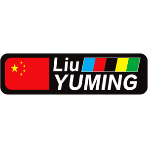 环法自行车公路车车架国旗个人姓名贴定制定做 萨甘款贴纸样式四