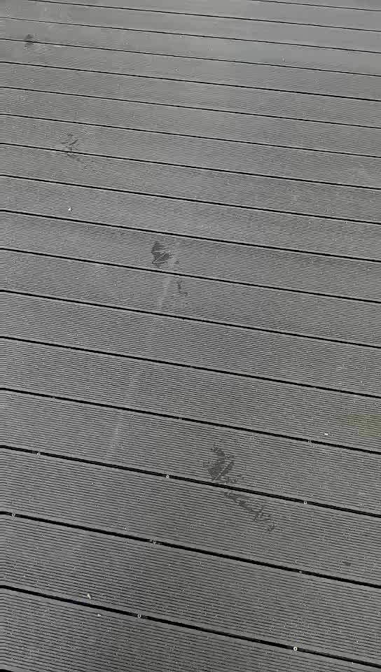 Different Colors Weather Resistance Uv Wpc Co Extrusion Outdoor