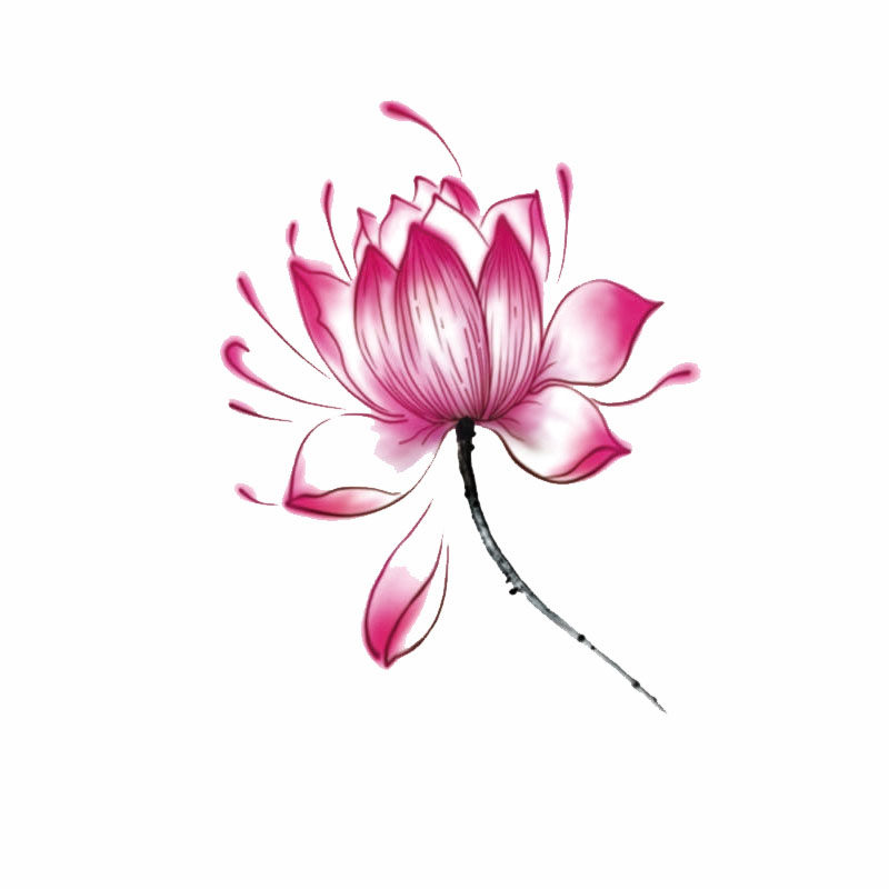 【50张套装】纹身贴防水女持久彩色玫瑰花胸前ins风彩妆套装遮疤_虎窝淘