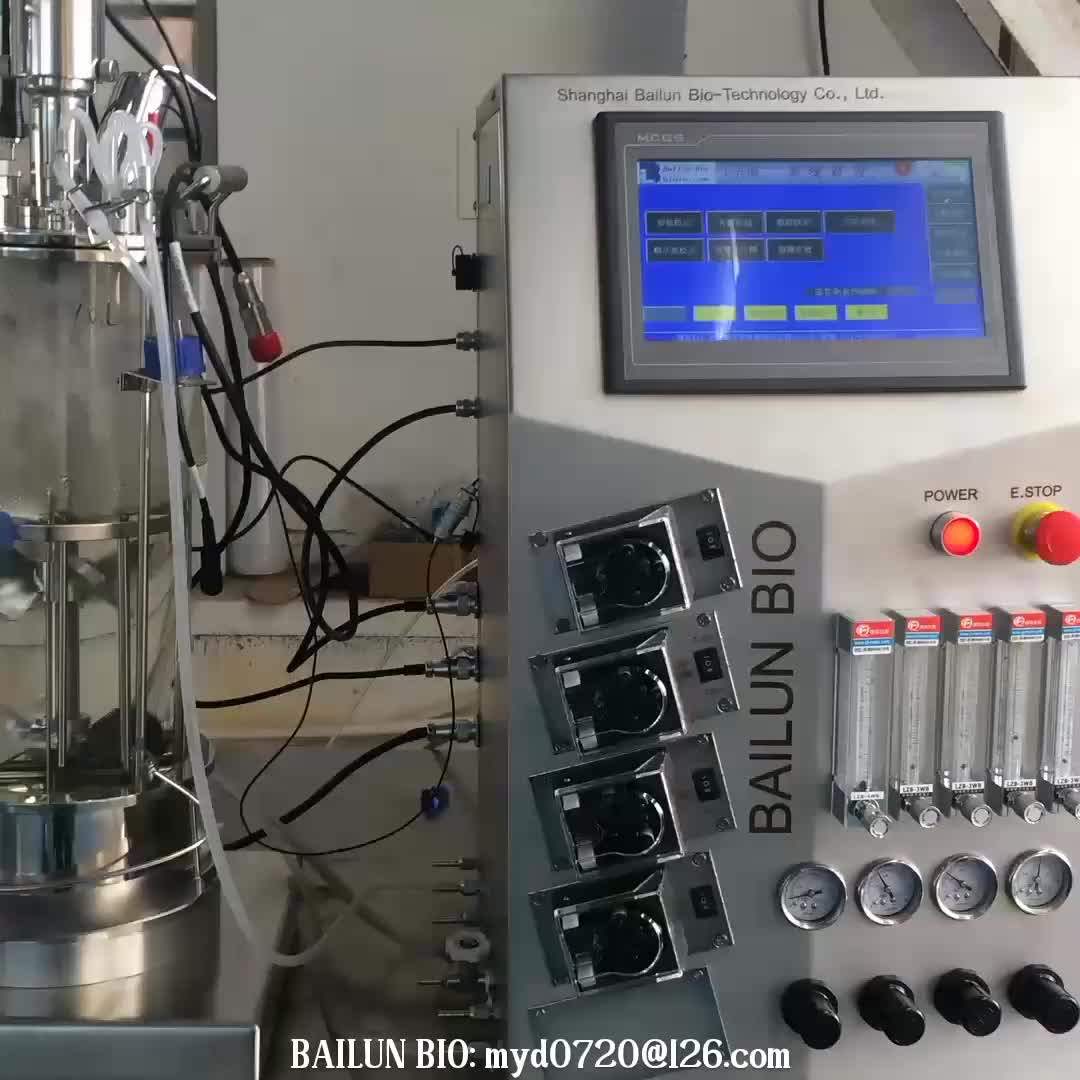 Bailun Bio Small Scale Laboratory Double Walled Vessels Fermenter