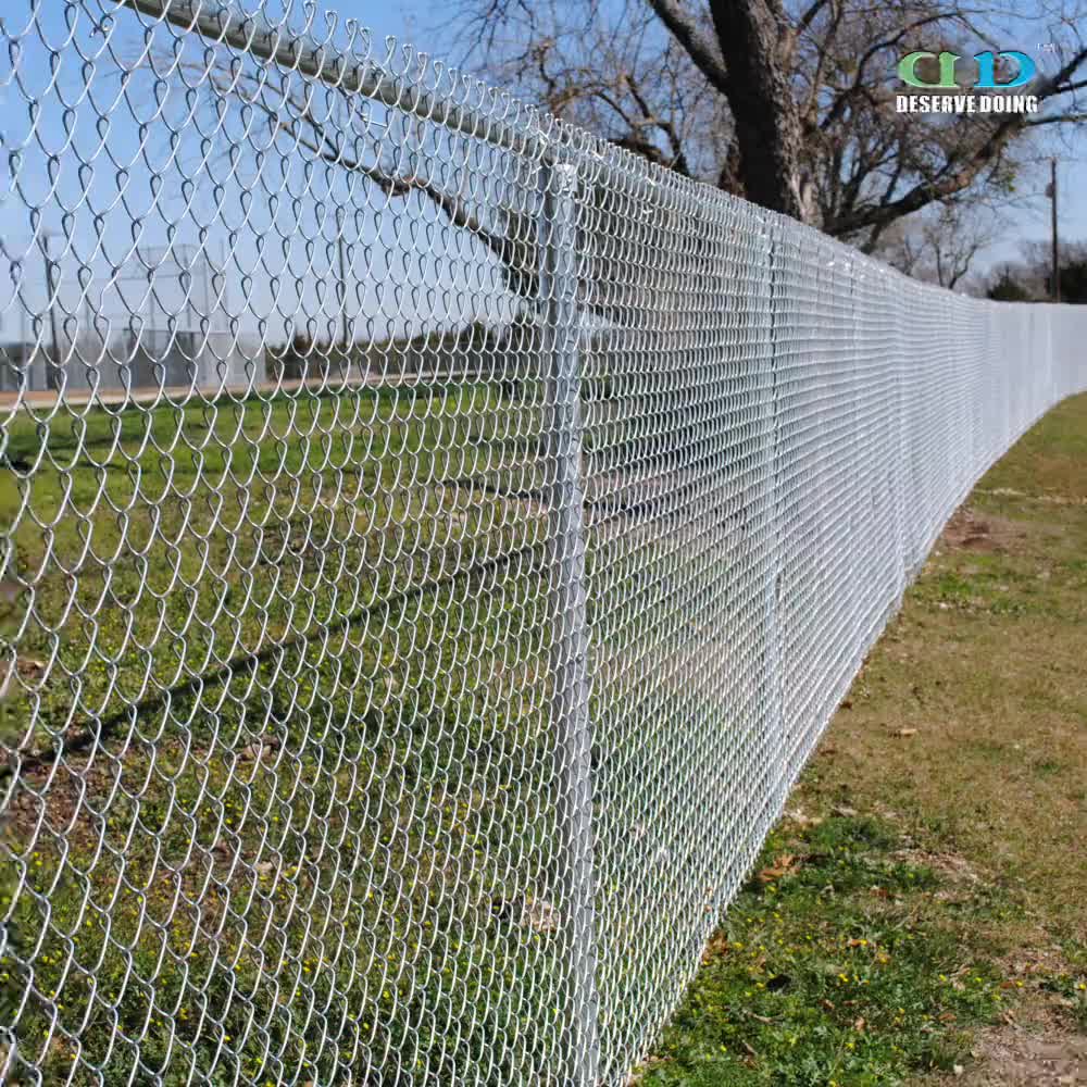 ivy chain link fence