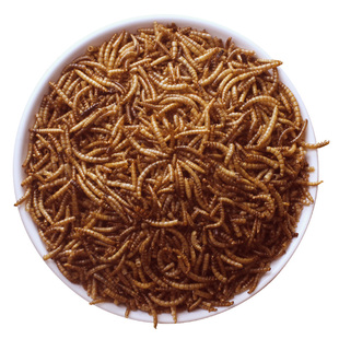 面包虫干鸟食鸟用八哥鹩哥画眉百灵饲料食营养零食虫子芦丁鸡65g