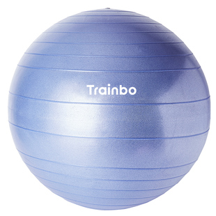 瑜伽球加厚平衡防爆儿童感统训练孕妇专用助产舞蹈充气大球健身球