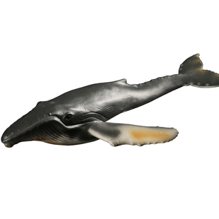 林畅模玩儿童仿真海洋生物动物模型玩具虎鲸蓝鲸白鲸抹香鲸独角鲸