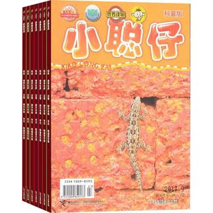 【送好礼】小聪仔自然科普版杂志 2026年1月起订 1年共12期 杂志铺 2~8岁少儿益智科普智力开发拓宽知识面科学探秘 课外阅读期刊