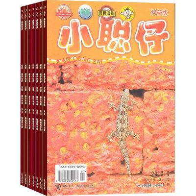 【送好礼】小聪仔自然科普版杂志 2026年1月起订 1年共12期 杂志铺 2~8岁少儿益智科普智力开发拓宽知识面科学探秘 课外阅读期刊