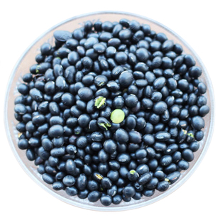 建宁公主 农家自产绿芯黑豆 新货乌黑豆五谷杂粮大黑豆500g