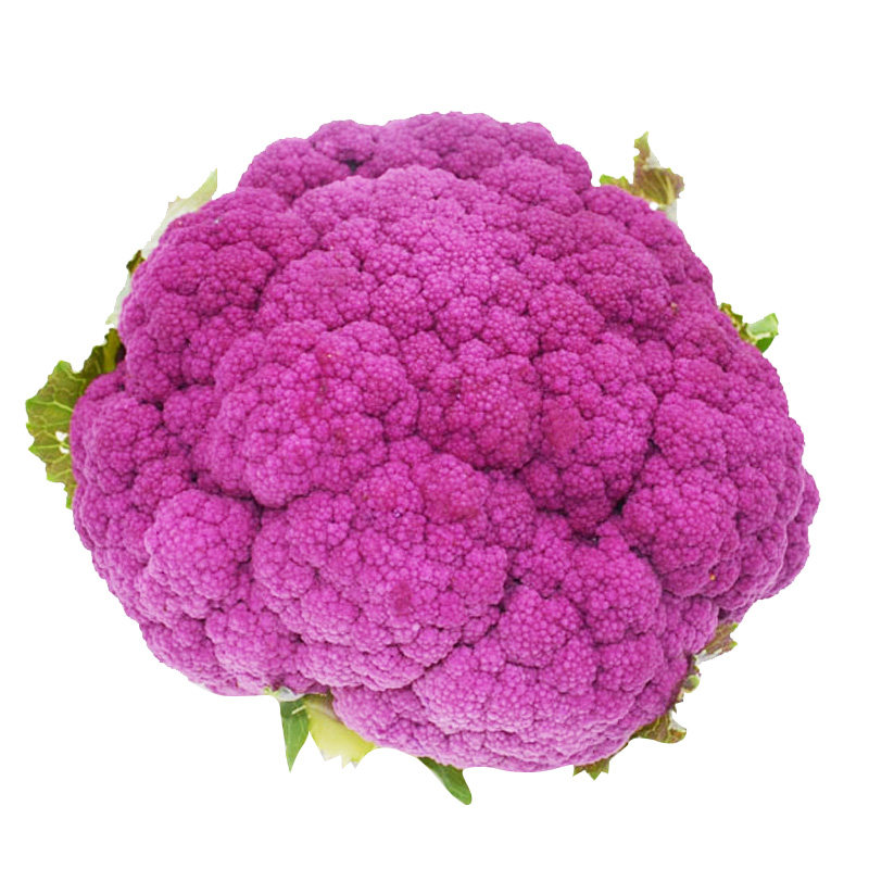 彩色花椰菜种子有机花菜种籽绿黄紫花菜种四季蔬菜种孑