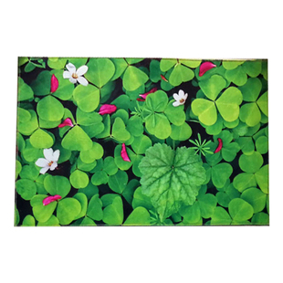 3D地垫地毯门垫进门卧室门厅厨房卫生间门口脚垫家用浴室防滑垫子