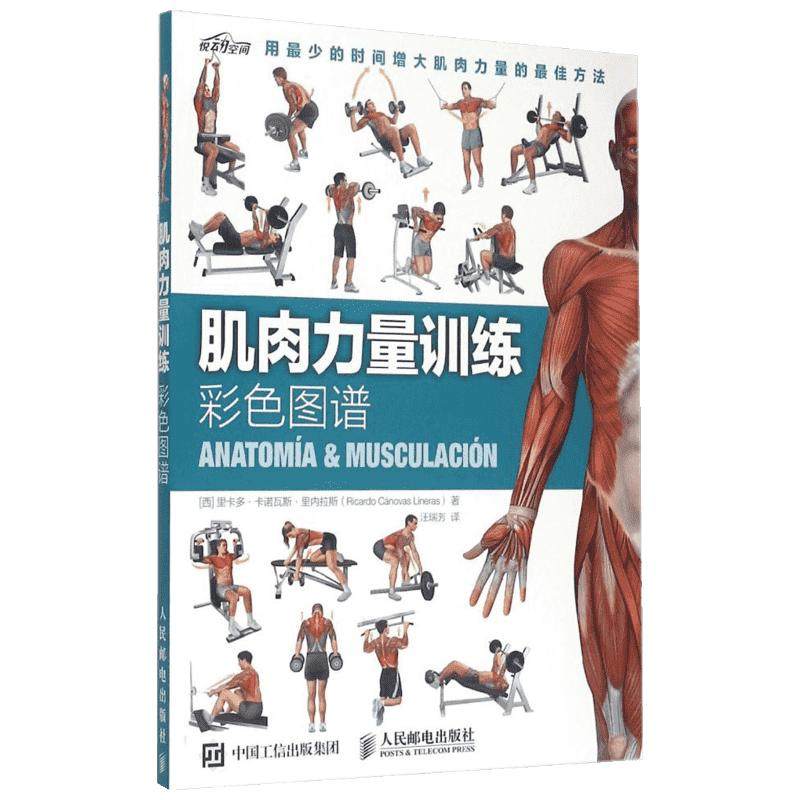 肌肉力量训练彩色图谱 肌肉锻炼体育运动(新)