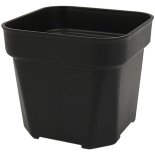 店长推荐热卖多肉花盆方盆塑料简约特厚黑白盆五个型号景天仙人球