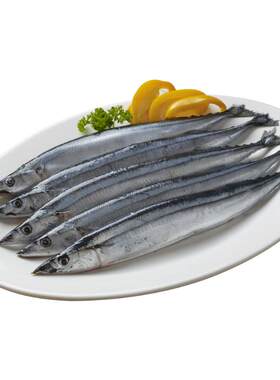 秋刀鱼烧烤食材秋刀鱼海鲜