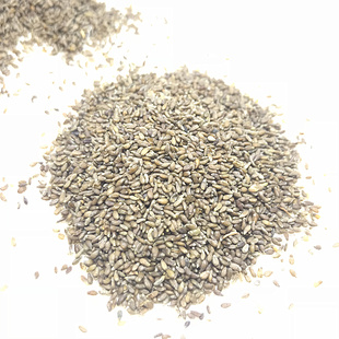 沙蒿子500g包邮正宗沙浩子纯天然沙蒿子粉中药材沙蒿子面粉透皮贴