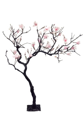 仿真白玉兰花树橱窗干树枝