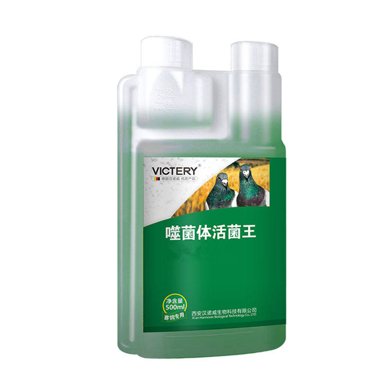 鸽子药活菌王汉诺威肠道水便噬菌