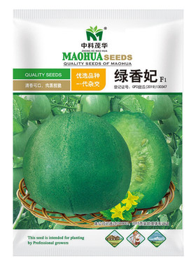 中科茂华甜瓜种子翡翠香瓜