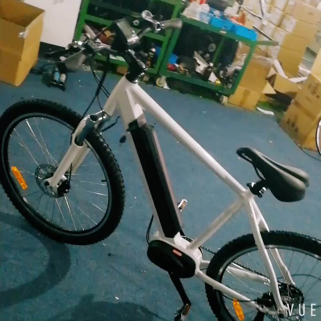 26inch Wheel Vintage Bafang Max Mid Drive Electric Motor Bike /dubai