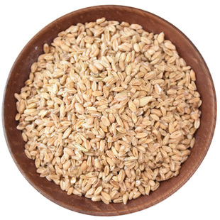 正宗浮小麦500g中药材浮水麦中药止甘草大枣太子参浮麦瘪小麦汗茶