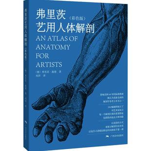 弗里茨艺用人体解剖彩色版 理解人体形态 人体骨骼肌肉解剖实用人体素描速写人物基础技法教程人体速写临摹 人体结构造型手绘技法