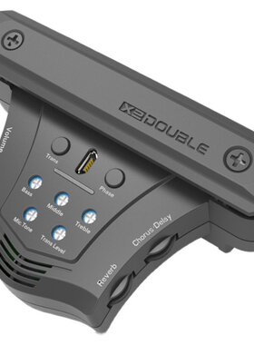 double音孔加振拾音器扩音器