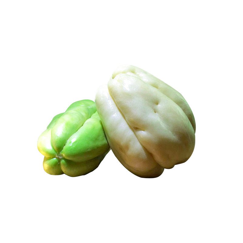 佛手瓜带牙秋季拳头庭院绿植盆栽
