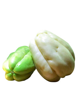 佛手瓜带牙秋季拳头庭院绿植盆栽