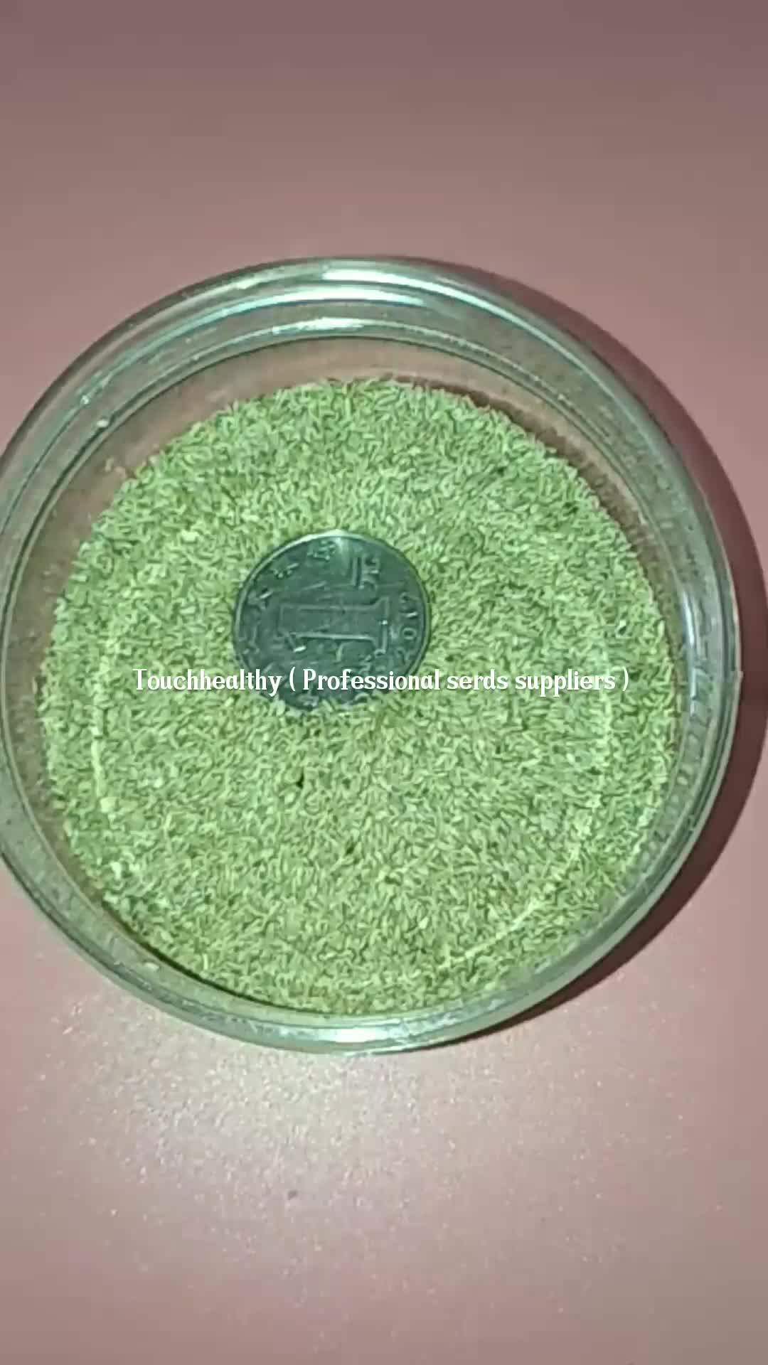 Top Quality Hulled Coated Bermuda Grass Seeds For Lawn And ...