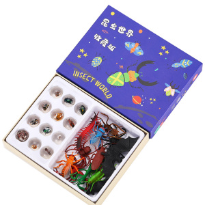 琥珀昆虫标本真虫模型仿真动物宠物观察收藏盒送昆虫记书儿童玩具