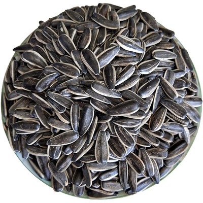 新疆发货生瓜子口感好饱满无坏子